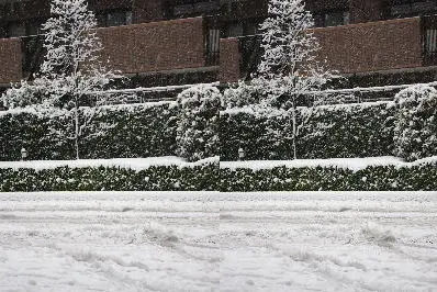 雪景色